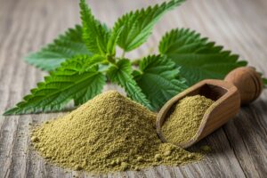 Stinging Nettle Extract