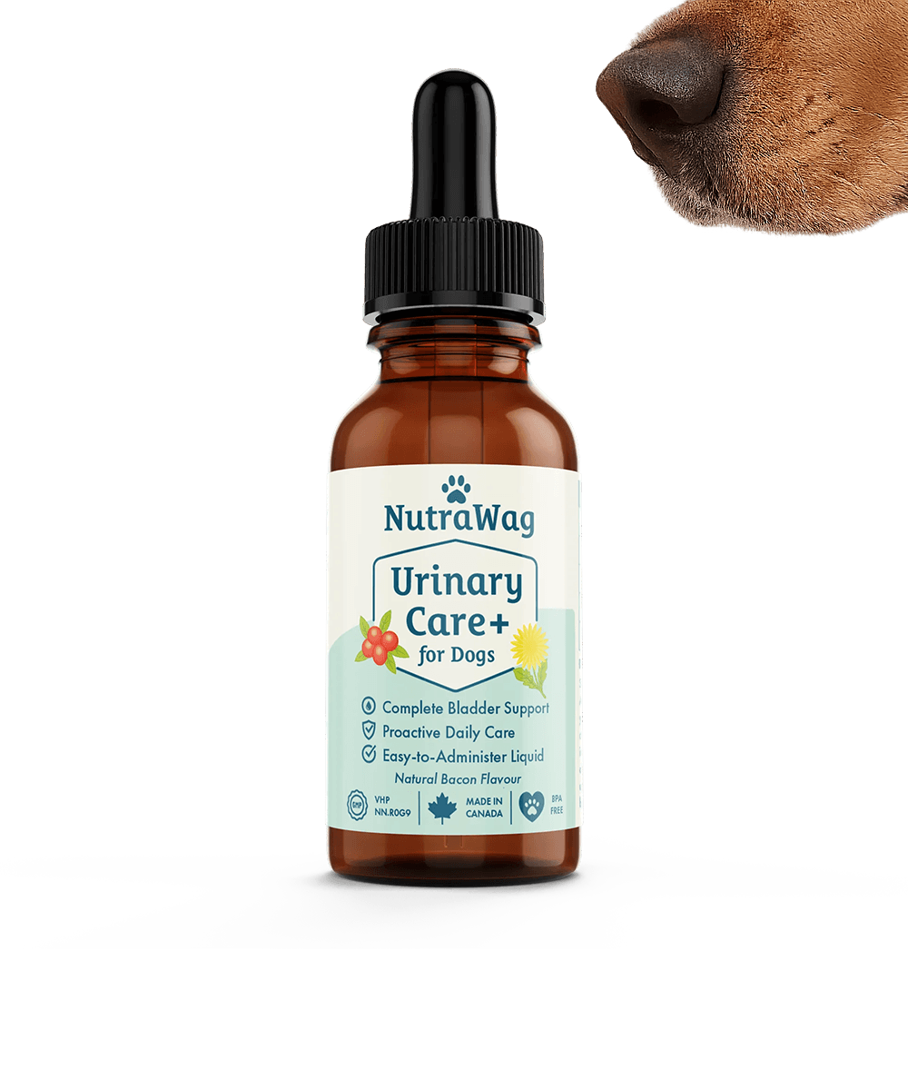 NutraWag Urinary Care with dog sniffing it